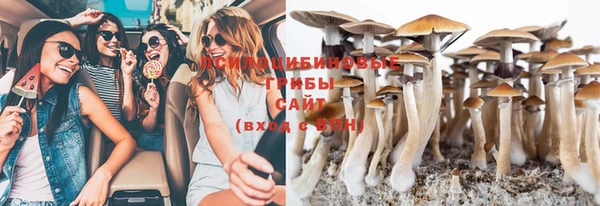 apvp Медвежьегорск