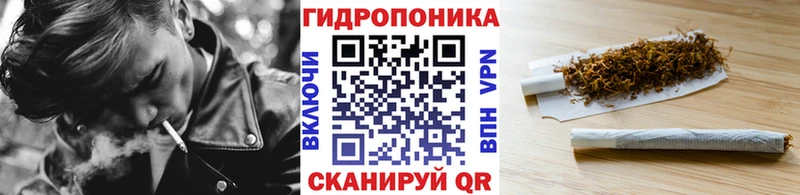 Бошки марихуана SATIVA & INDICA Лакинск